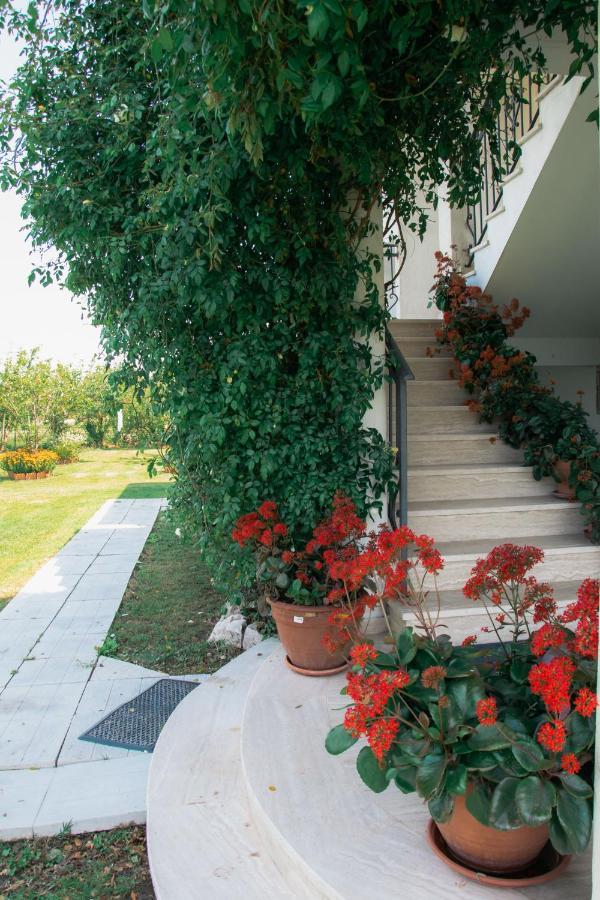 Luce Di Sole Apartment Ulcinj Exterior photo